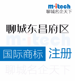 聊城东昌府区注册国际商标流程是怎样的