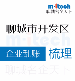 聊城经济技术开发区会计公司代办理企业乱账梳理