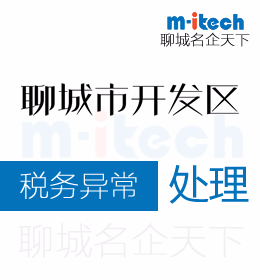 聊城经济技开发区代理会计公司处理税务异常记账