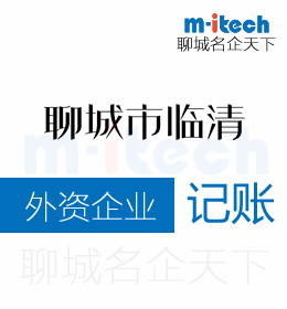 聊城市临清会计公司代办理外资企业记账