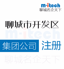 聊城经济技术开发区代办公司集团注册营业执照办理