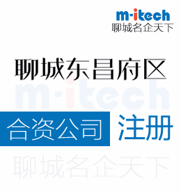 聊城东昌府区注册合资公司营业执照代办理