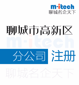 聊城高新区注册分公司代办理营业执照